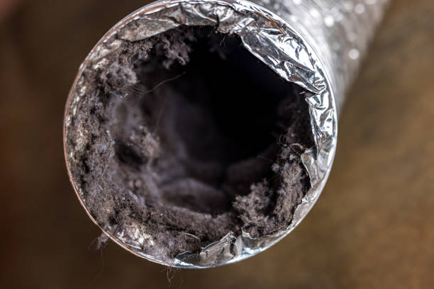 Best Affordable HVAC Duct Cleaning  in Basye, VA
