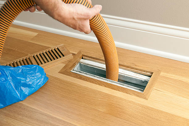 Best Professional Duct Cleaning Services  in Basye, VA