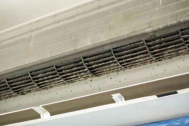 Ductwork Cleaning Services in Basye, VA